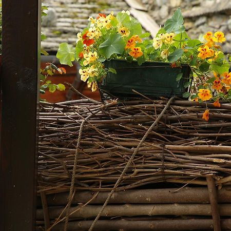 Residence Casa Dei Fiori アラーニャ・ヴァルセージア エクステリア 写真