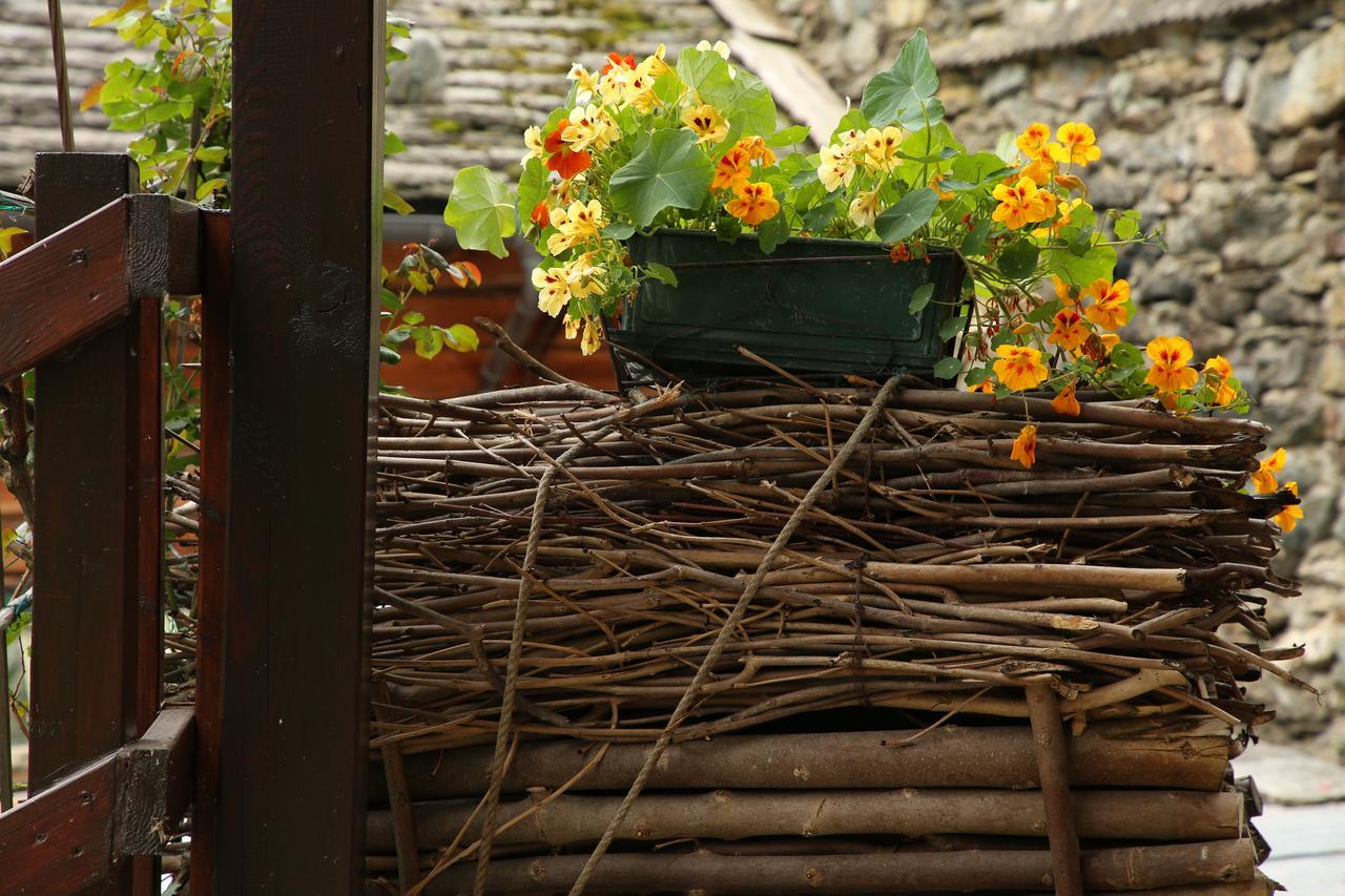 Residence Casa Dei Fiori アラーニャ・ヴァルセージア エクステリア 写真